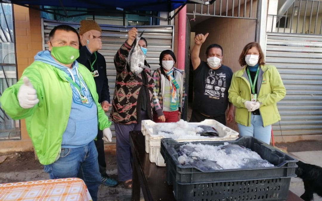 PESCADORES DE LEBU DONAN 1.500 KILOS DE REINETA PARA «COMEDORES SOLIDARIOS» DE NUESTRA COMUNA
