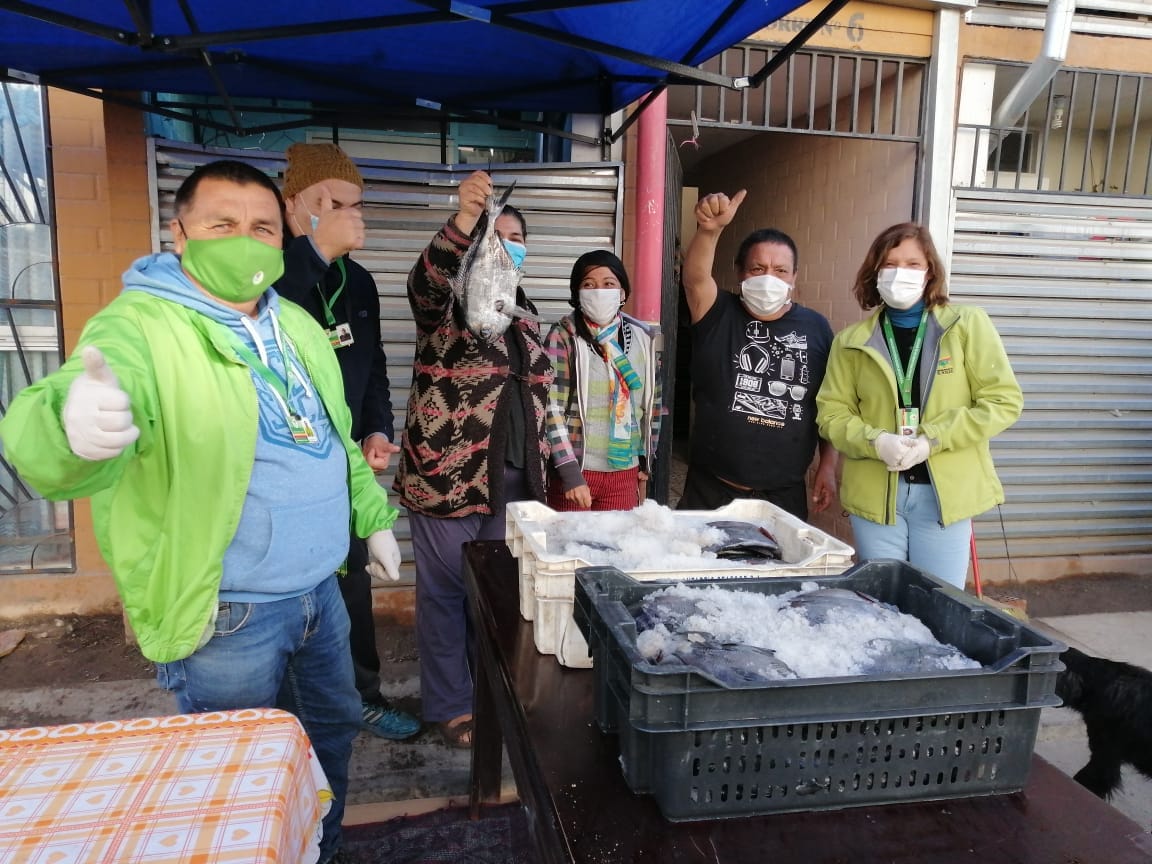PESCADORES DE LEBU DONAN 1.500 KILOS DE REINETA PARA «COMEDORES SOLIDARIOS» DE NUESTRA COMUNA