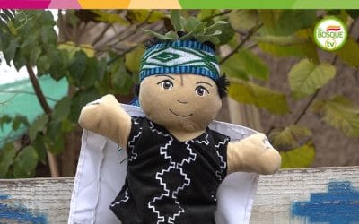 EPEW: ¿Qué celebramos en Wiñol Tripantü? – Cuento Mapuche.