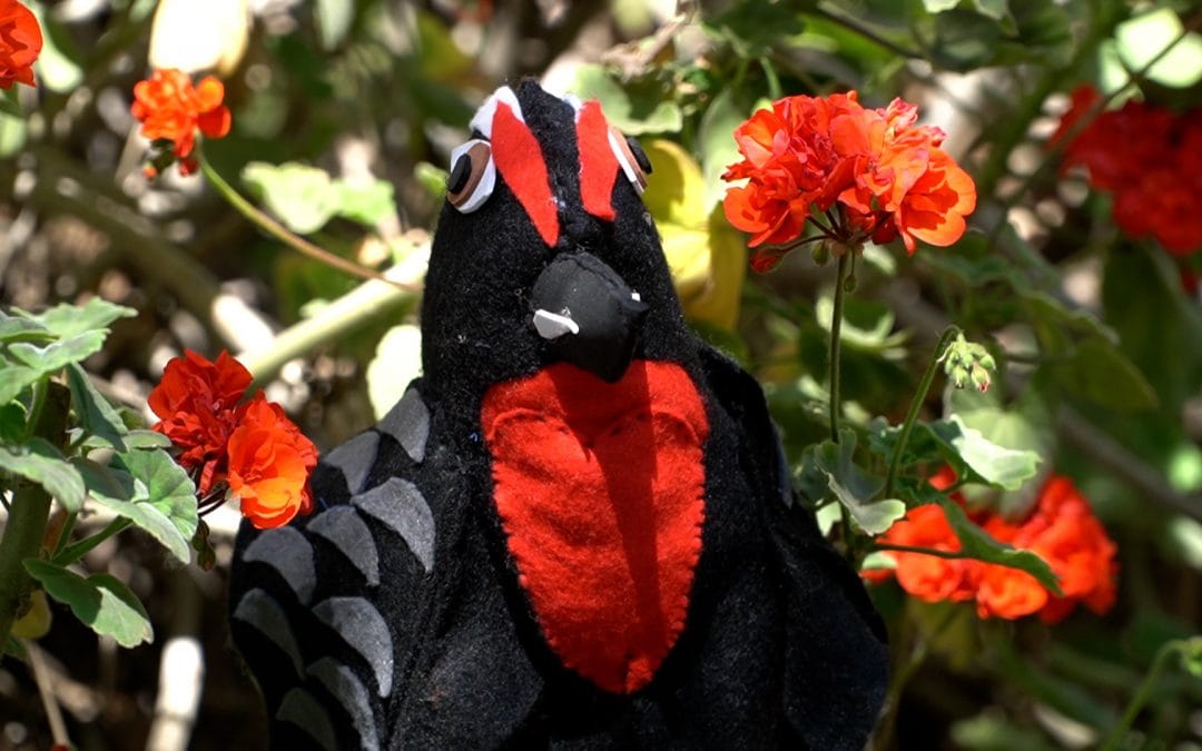 Al Estilo de 31 Minutos: Cuentos con Títeres Mapuche Animarán Clases Interculturales en El Bosque