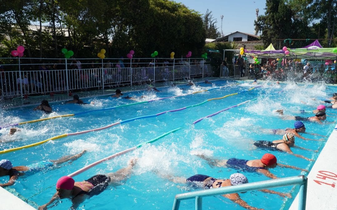 BRILLANTE PRESENTACIÓN DE TALLERES “EL BOSQUE APRENDE A NADAR”