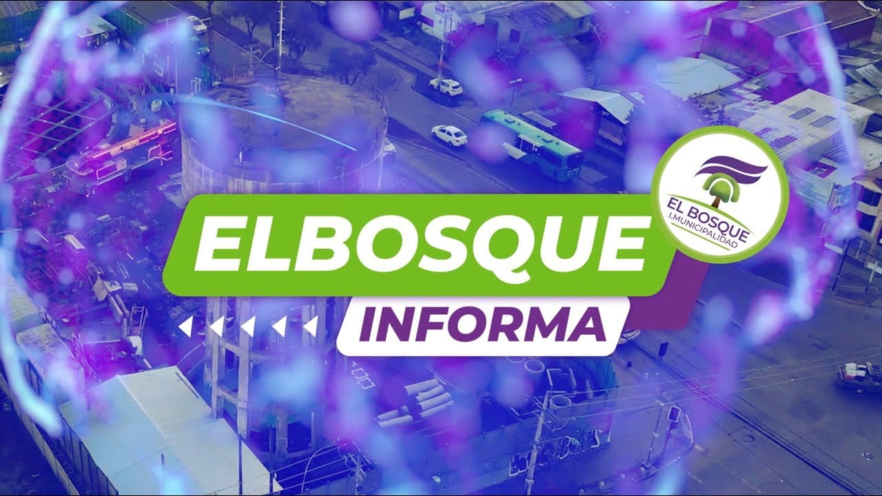 El Bosque Informa Nº23 – Viernes 07 de junio de 2024