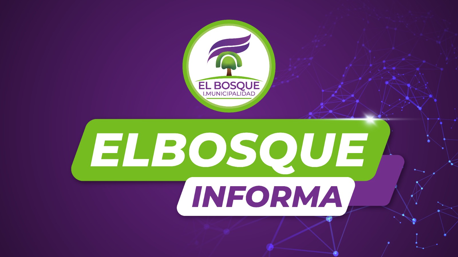 El Bosque Informa Nº24 – Miércoles 12 de junio de 2024
