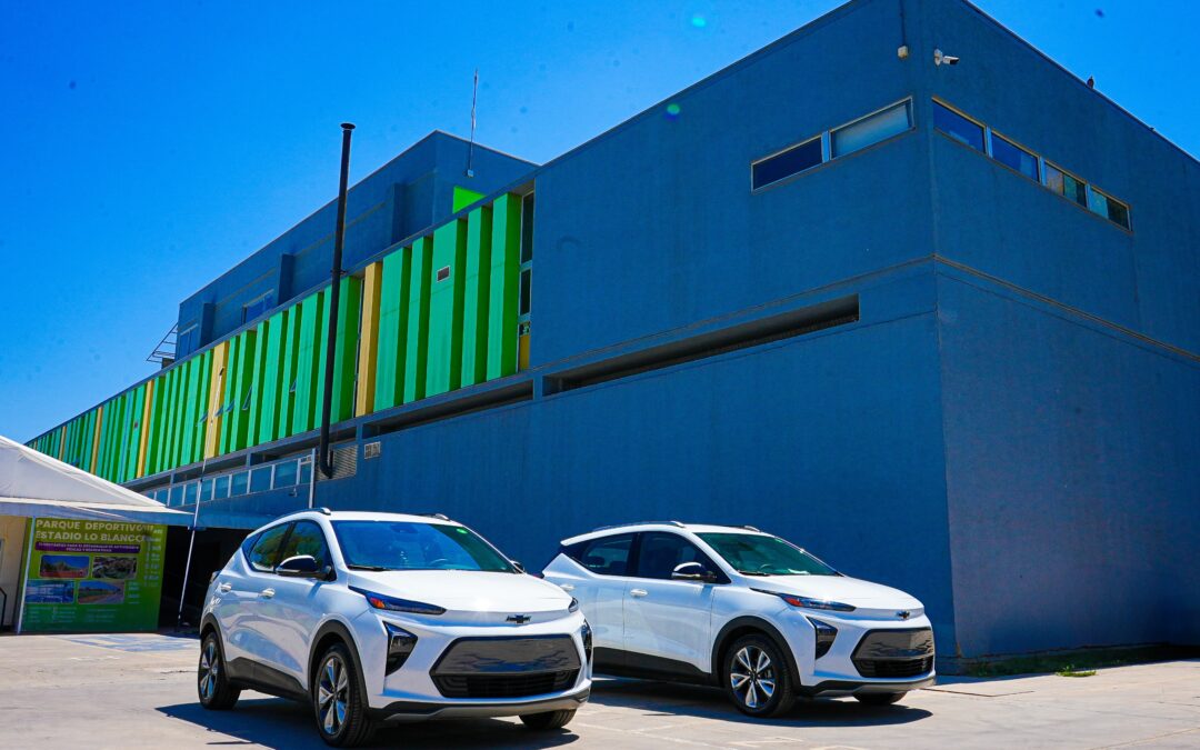 EL BOSQUE SUSTENTABLE: NUEVOS AUTOMOVILES 100% ELÉCTRICOS