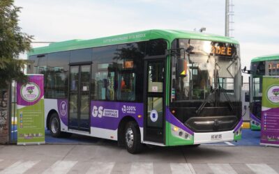 El Bosque avanza en electromovilidad con nuevos buses eléctricos