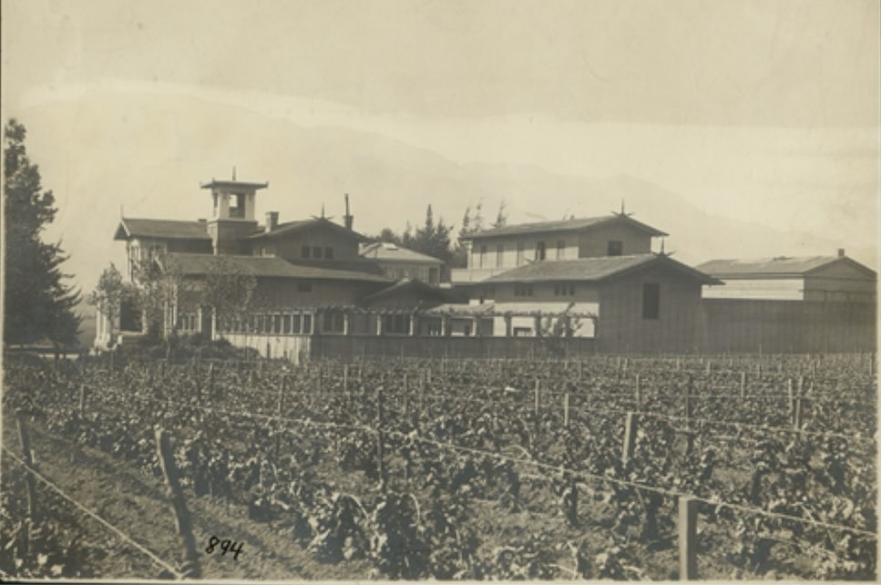 🍇🍷 𝐋𝐀 𝐇𝐈𝐒𝐓𝐎𝐑𝐈𝐀 𝐃𝐄 𝐋𝐀 𝐕𝐈𝐍̃𝐀 𝐌𝐀𝐍𝐔𝐄𝐋 𝐉. 𝐁𝐄𝐍𝐈́𝐓𝐄𝐙 (𝟏𝟖𝟕* – 𝟏𝟗𝟏𝟓): 𝐕𝐈𝐍𝐎𝐒 𝐃𝐄 𝐄𝐋 𝐁𝐎𝐒𝐐𝐔𝐄 𝐏𝐀𝐑𝐀 𝐄𝐋 𝐌𝐔𝐍𝐃O