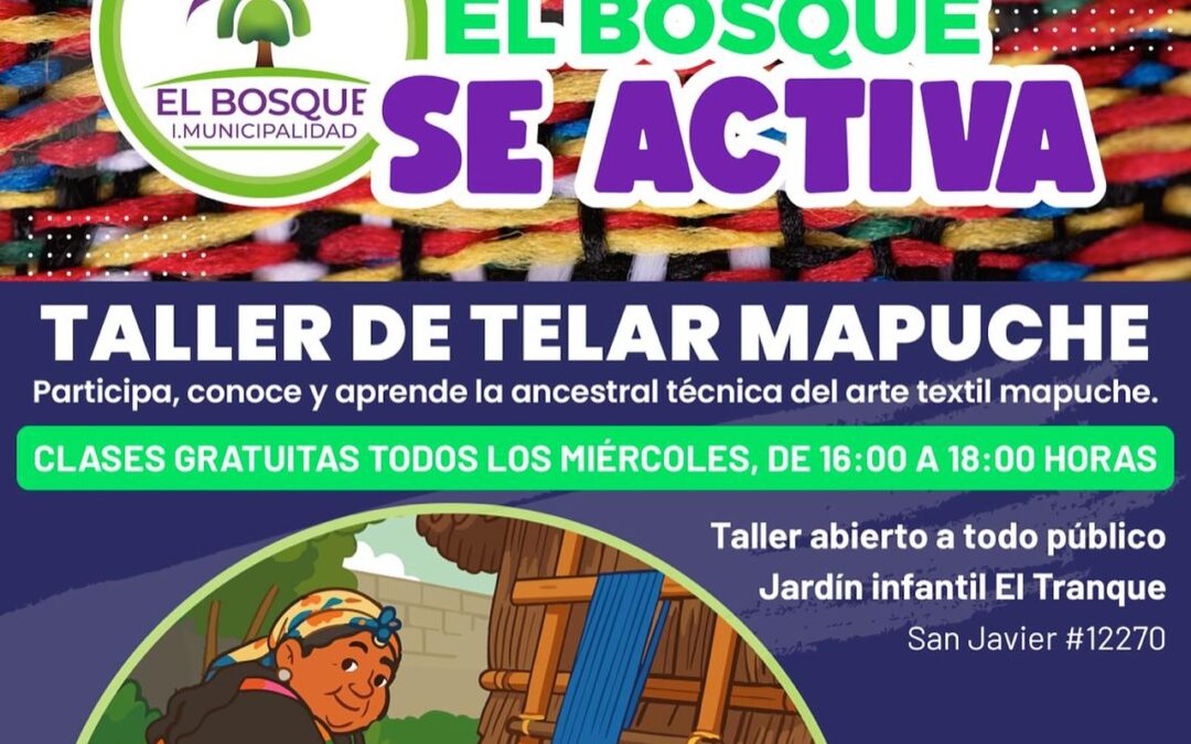 🌿 El Bosque se teje en comunidad: comienza el Taller de Telar Mapuche en el marco del programa El Bosque se Activa