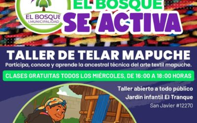 🌿 El Bosque se teje en comunidad: comienza el Taller de Telar Mapuche en el marco del programa El Bosque se Activa