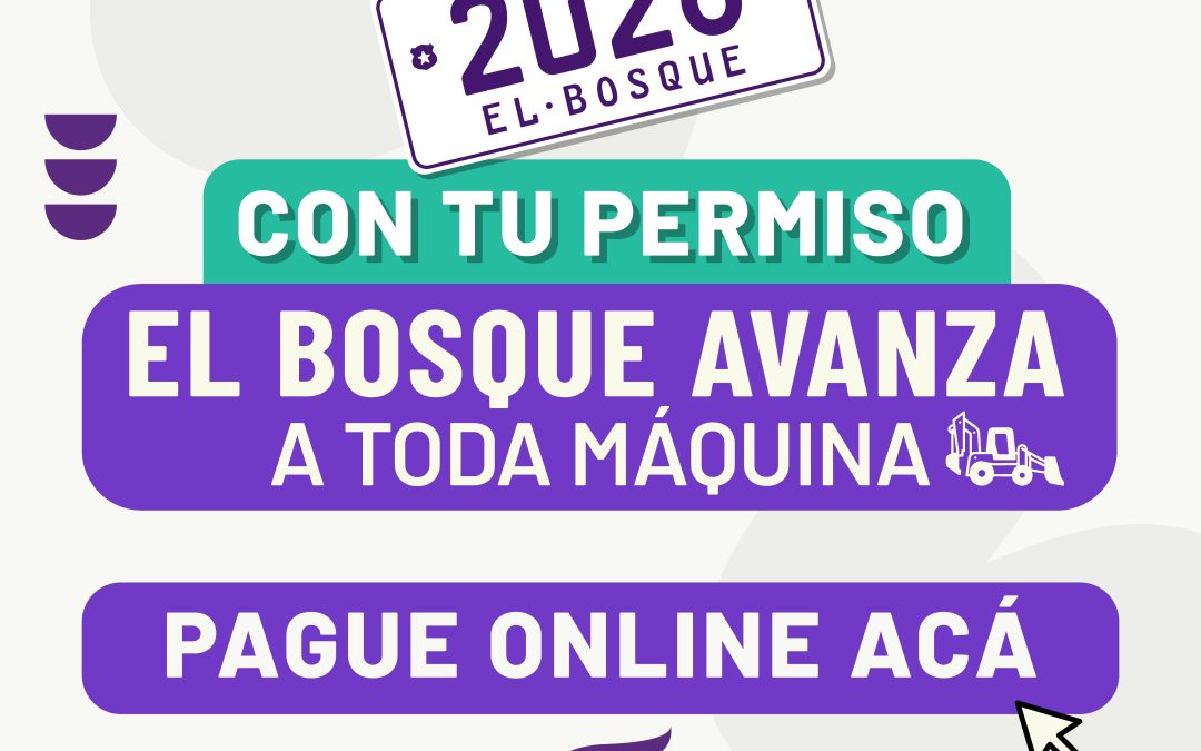 PAGA TU PERMISO DE CIRCULACIÓN 2026 EN EL BOSQUE