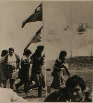 MUJERES QUE LUCHARON POR EL DERECHO A LA VIVIENDA: RAÍCES Y LEGADO DE LA POBLACIÓN EL ALMENDRO 2, EL CARDENAL EN EL SECTOR 1 (Cap. I de III)