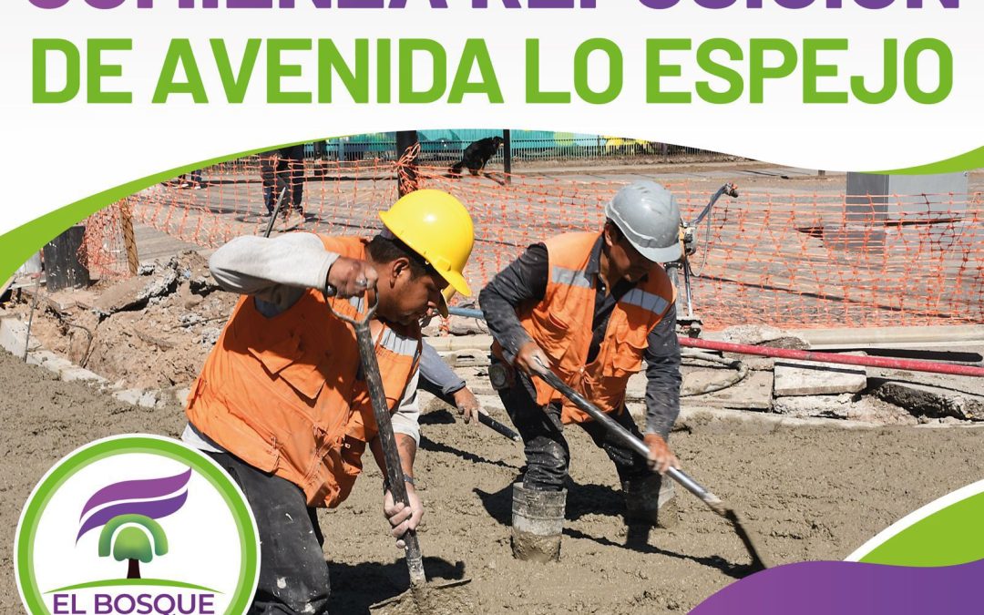 ¡Atención Vecinas y Vecinos! Se Inician Obras de Reposición en Avenida Lo Espejo