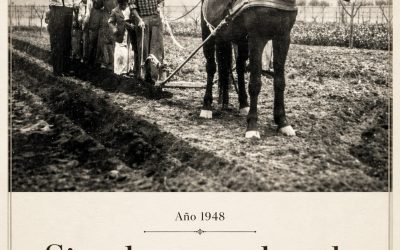 Capítulo V de V: Camino Los Morros, un corredor de historias, memorias y resistencia