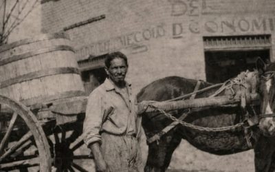 Capítulo IV: Los Morros, la llave del dominio sobre el sur